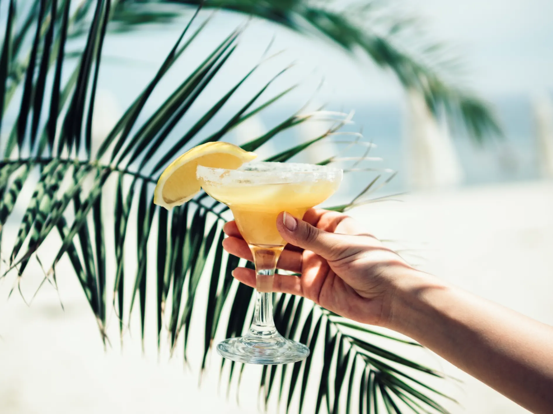 Sommerbar
